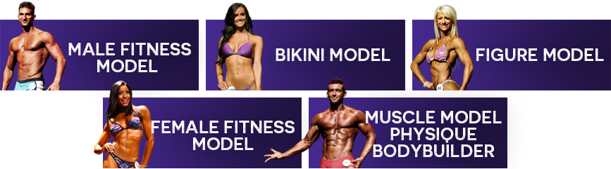 The competitive divisions