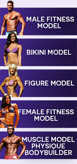 The competitive divisions
